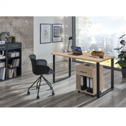 Sahtliboks Home Desk (sonoma tamm)