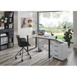 Sahtliboks Home Desk (valge)