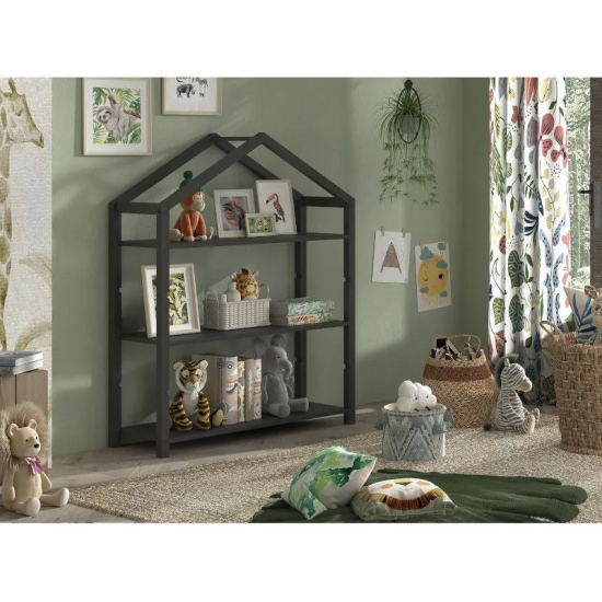 Vipack Raamaturiiul Dallas (antratsiit)