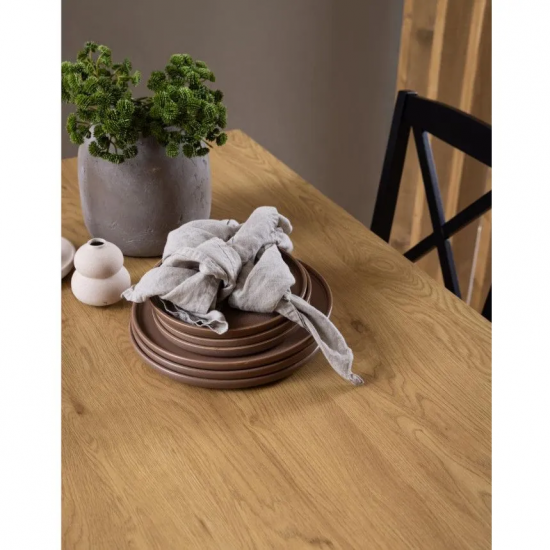 Söögilaud 120x80 cm (metsik tamm)