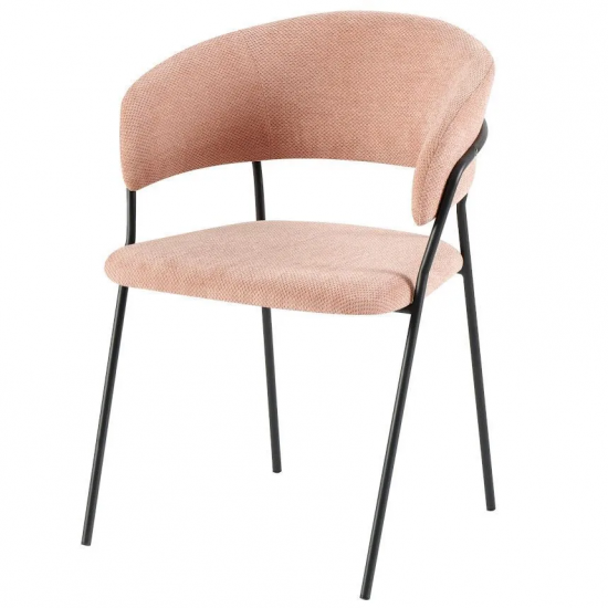 Tool Neisson (heleroosa)