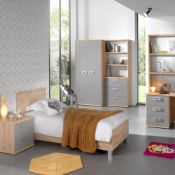 Kirjutuslaud Jules (hall/minerva tamm)