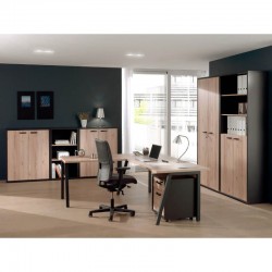 Abilaud Pronto (alpimänd/must) Abilaud Pronto (alpimänd/must)